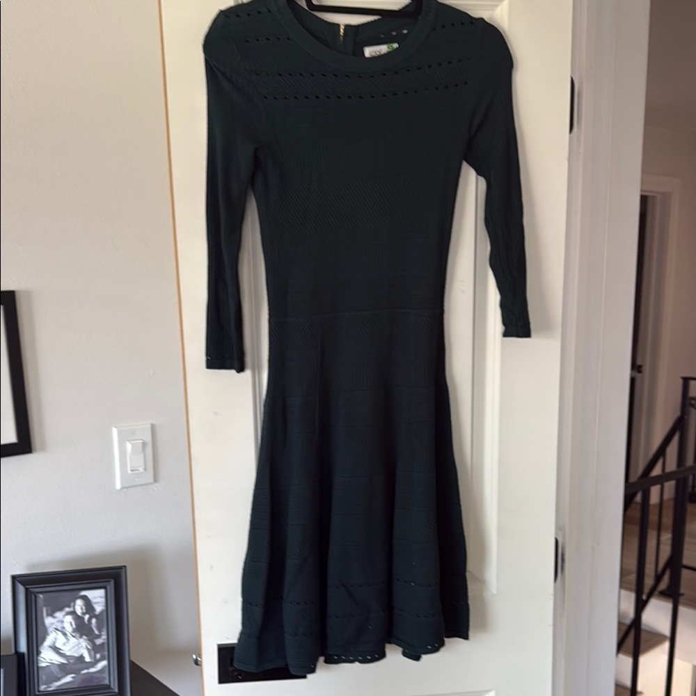 Eliza J Green Fit and Flare Long Sleeve Dress